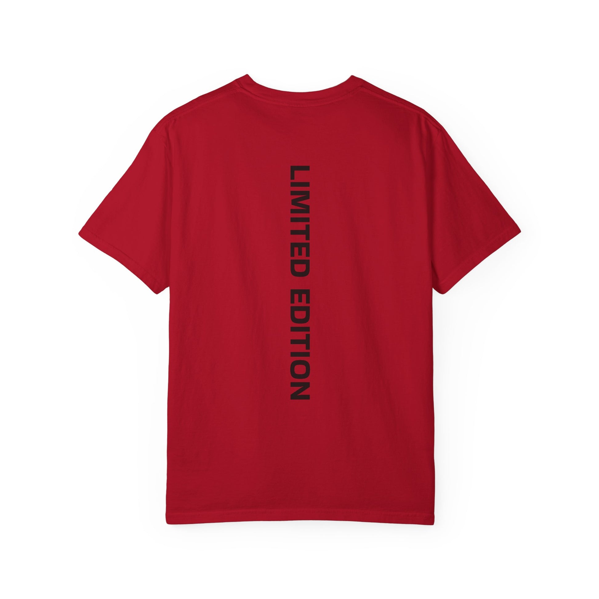 Limited Edition Unisex Garment-Dyed T-shirt, Trendy Graphic Tee, Stylish Streetwear, Gift for Him/Her, Casual Wear, Summer Fashion