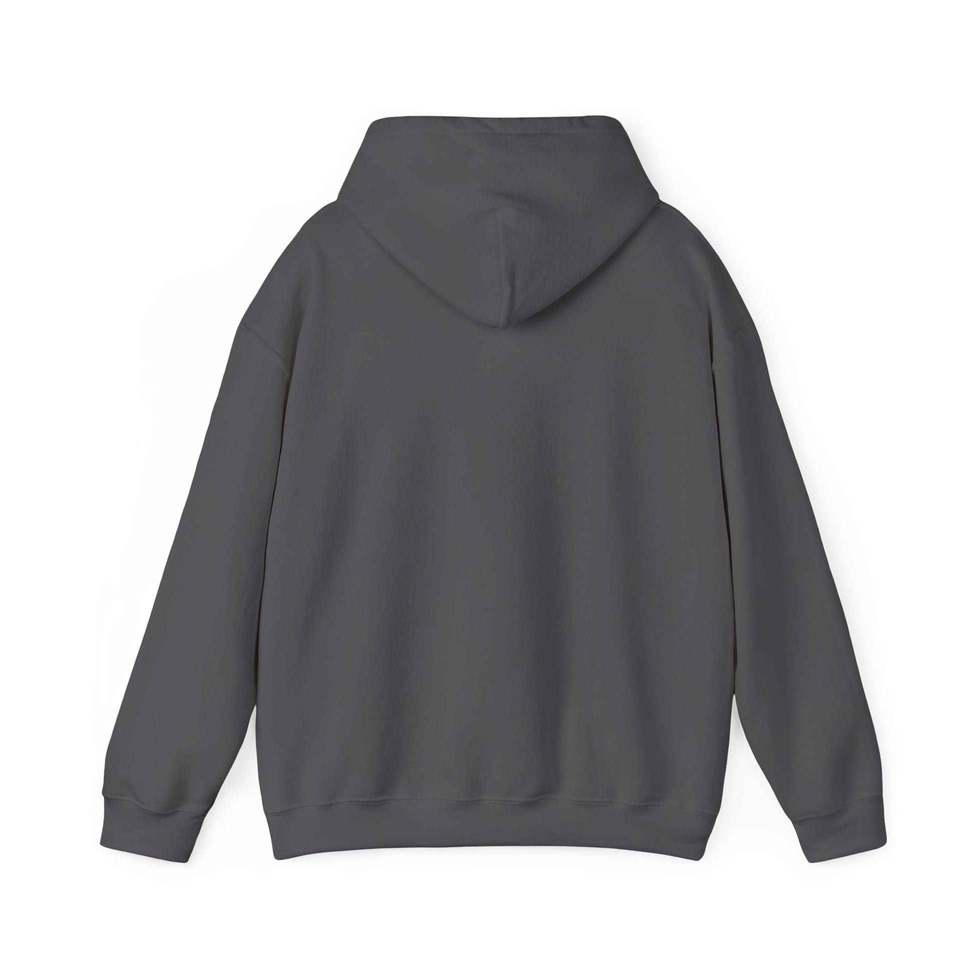 Lowcost Luxe Unisex Hooded Sweatshirt | Cozy Casual Wear, Graphic Hoodie, Streetwear Fashion, Gift for Him, Her, or Anyone