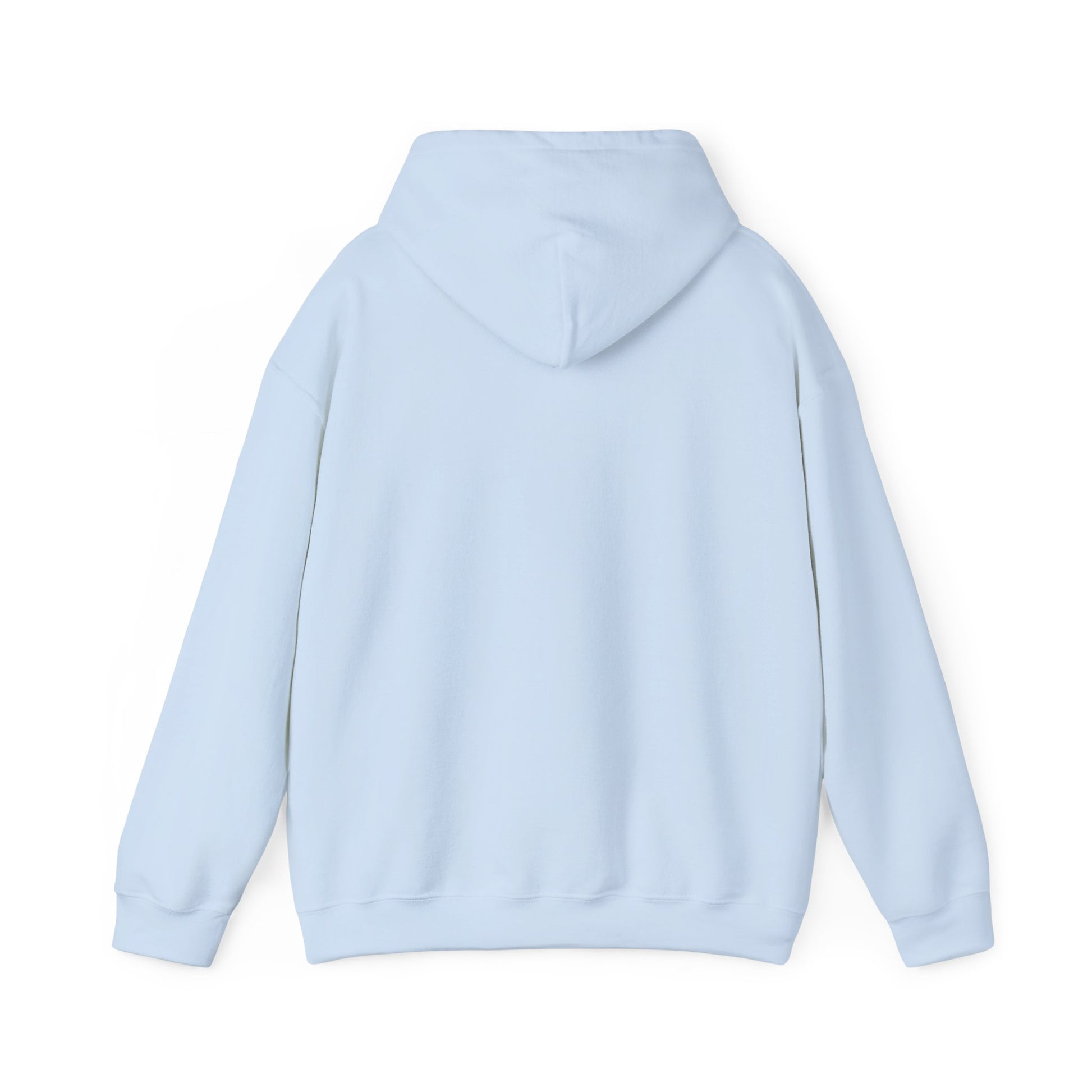 Lowcost Luxe Unisex Hooded Sweatshirt | Cozy Casual Wear, Graphic Hoodie, Streetwear Fashion, Gift for Him, Her, or Anyone