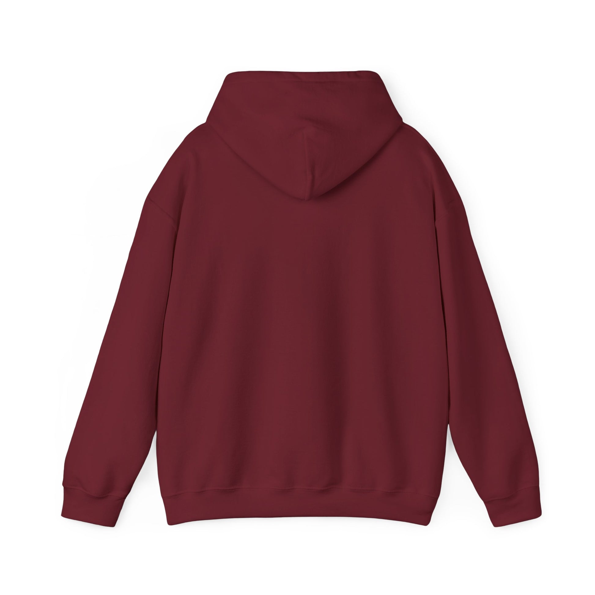 Lowcost Luxe Unisex Hooded Sweatshirt | Cozy Casual Wear, Graphic Hoodie, Streetwear Fashion, Gift for Him, Her, or Anyone