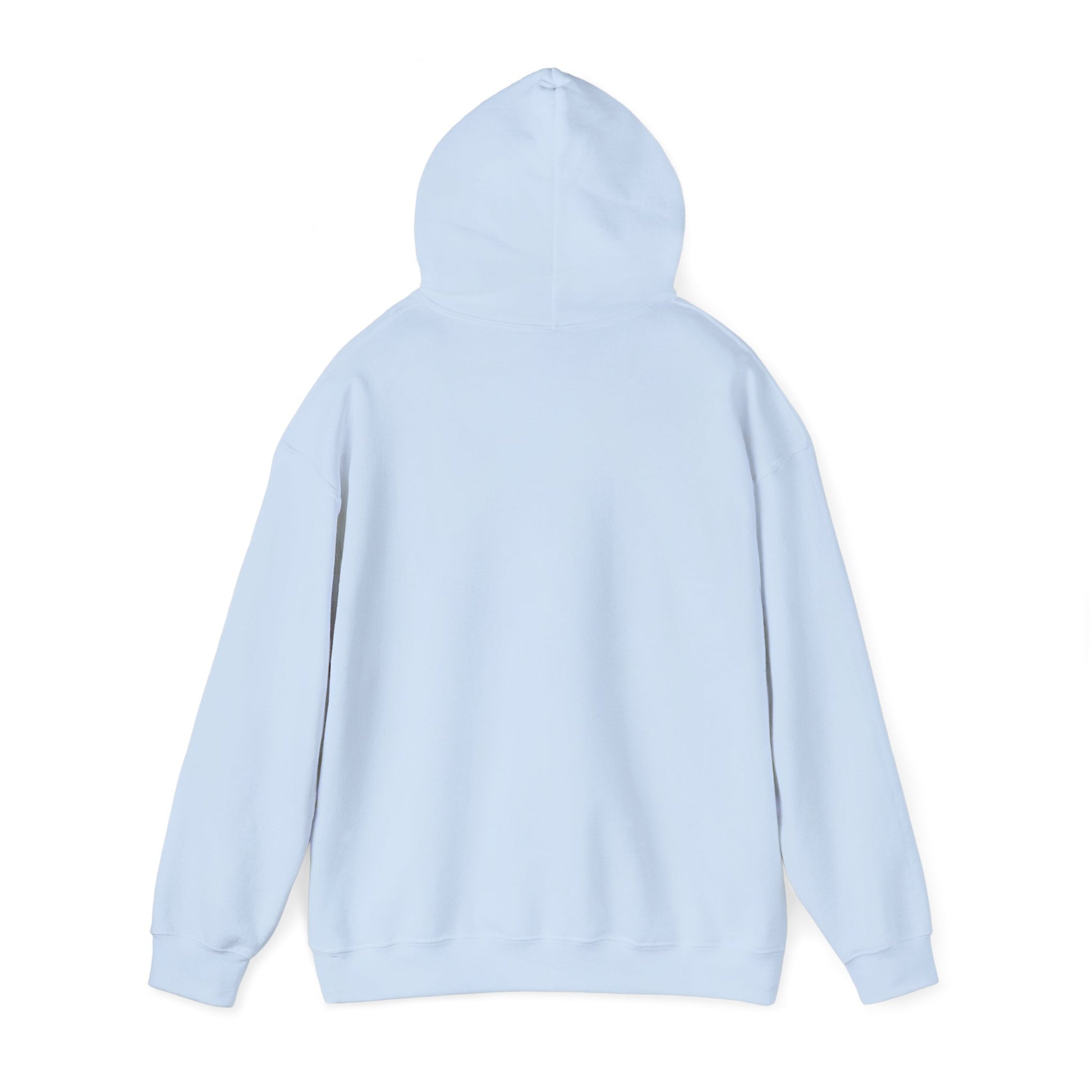 Lowcost Luxe Unisex Hooded Sweatshirt | Cozy Casual Wear, Graphic Hoodie, Streetwear Fashion, Gift for Him, Her, or Anyone