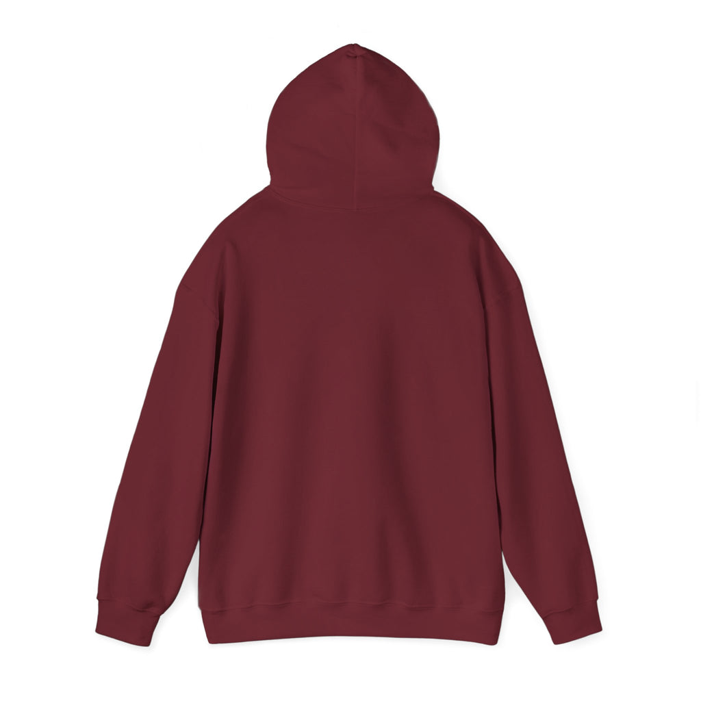 Lowcost Luxe Unisex Hooded Sweatshirt | Cozy Casual Wear, Graphic Hoodie, Streetwear Fashion, Gift for Him, Her, or Anyone